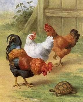 unknow artist Cocks 104 oil painting image